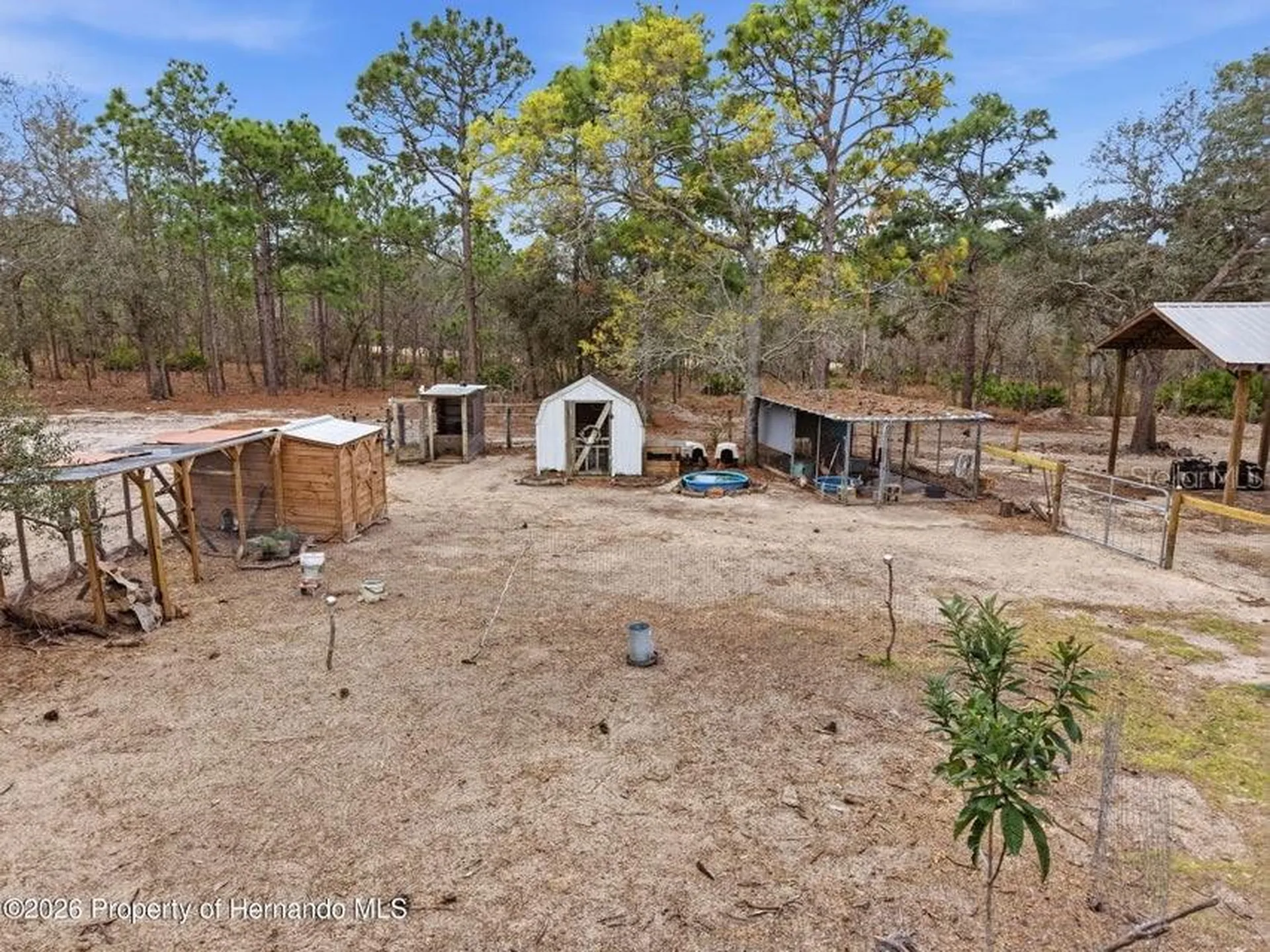 12124 Squeeze Avenue Brooksville FL 34614