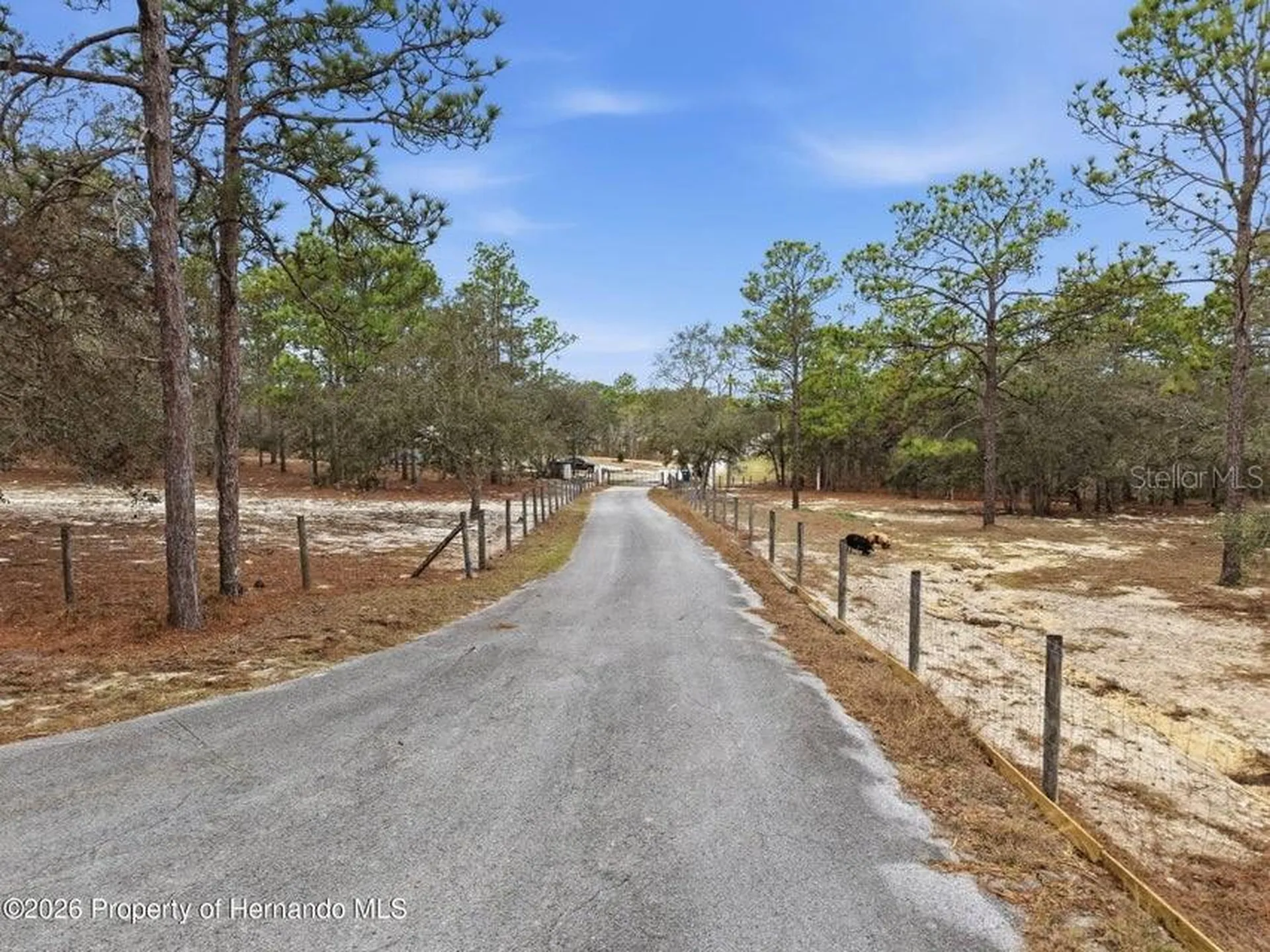 12124 Squeeze Avenue Brooksville FL 34614