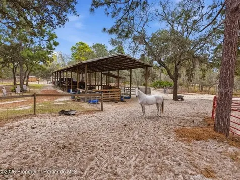 12124 Squeeze Avenue Brooksville FL 34614