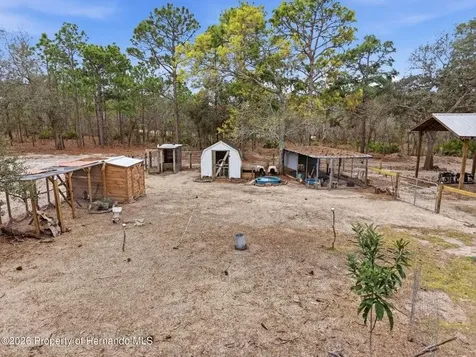 12124 Squeeze Avenue Brooksville FL 34614