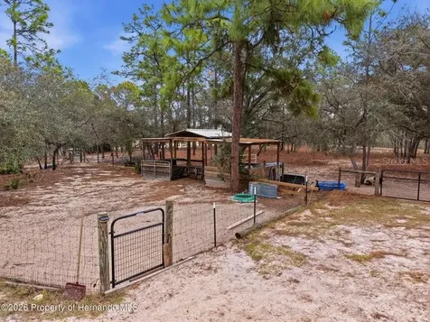 12124 Squeeze Avenue Brooksville FL 34614