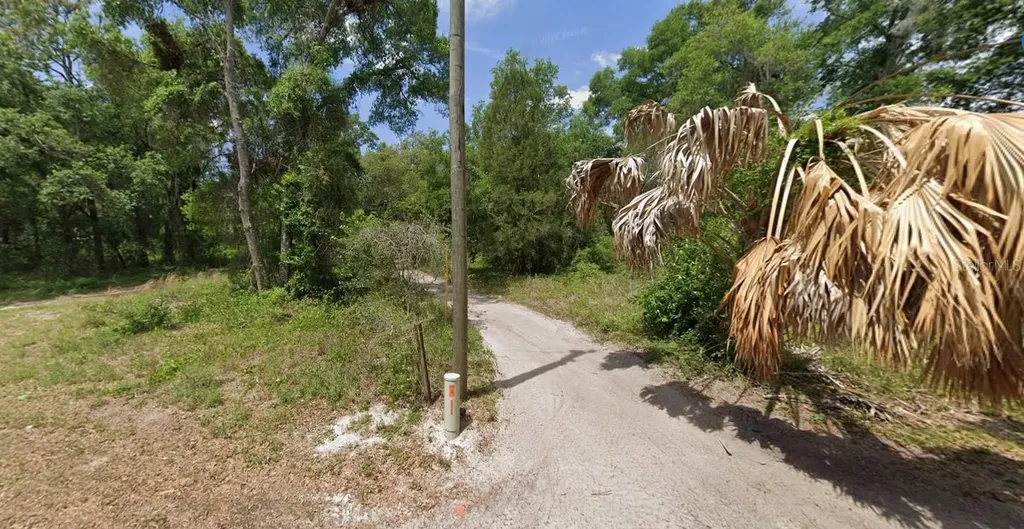 9111 Cr 622 Bushnell FL 33513