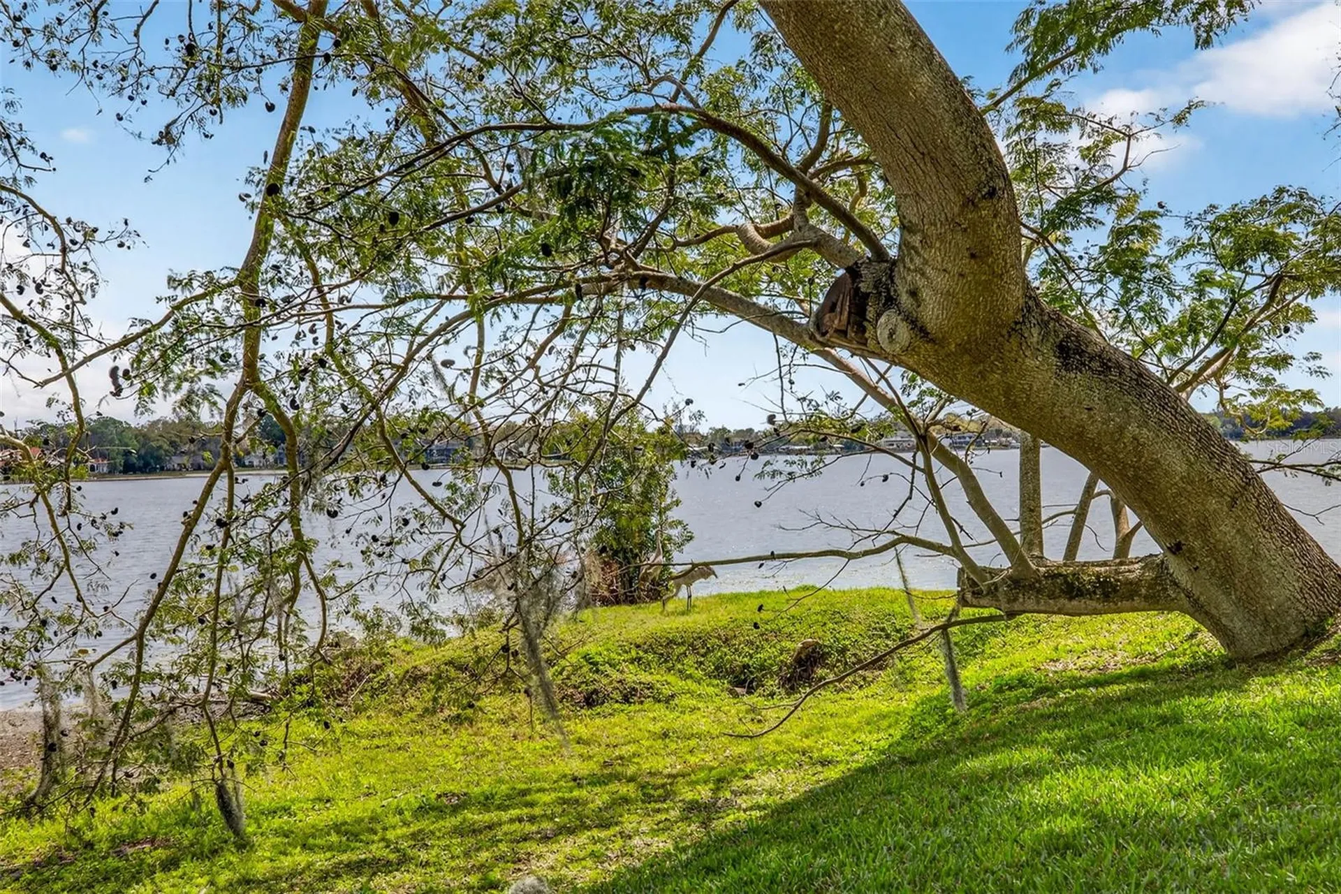 12010 Hardaman Place Tampa FL 33618
