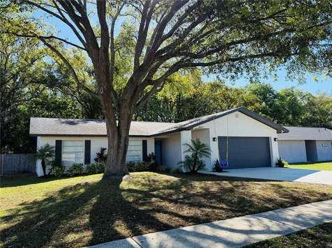 14337 Diplomat Drive Tampa FL 33613
