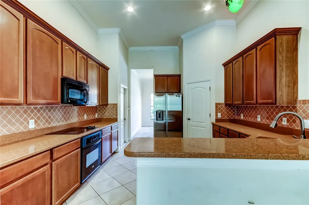 10820 Rain Lilly Pass Land O Lakes FL 34638