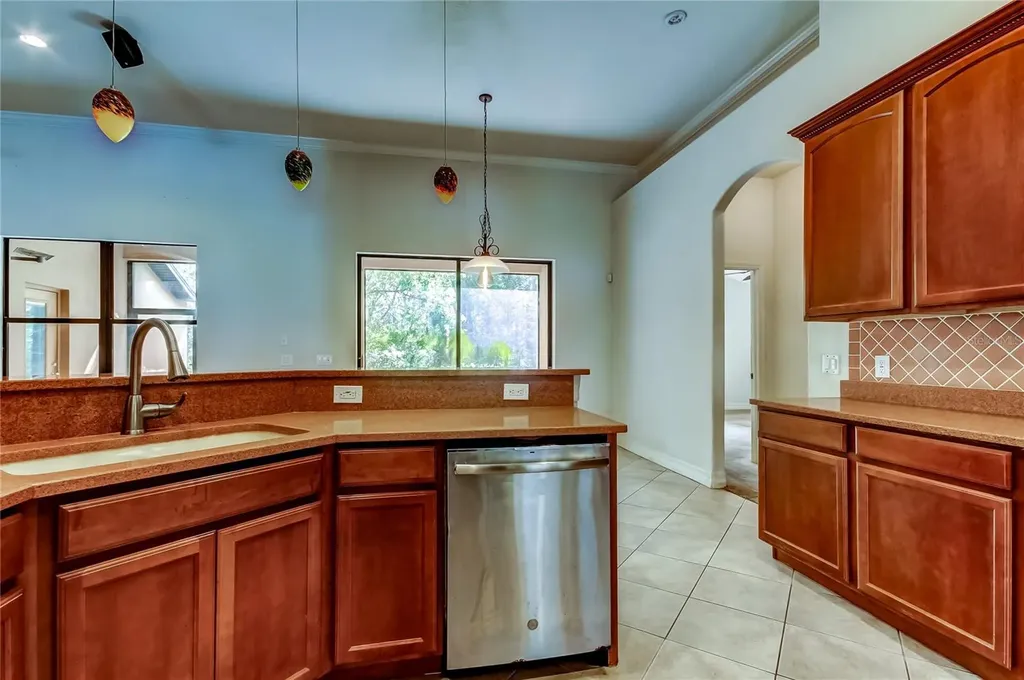 10820 Rain Lilly Pass Land O Lakes FL 34638