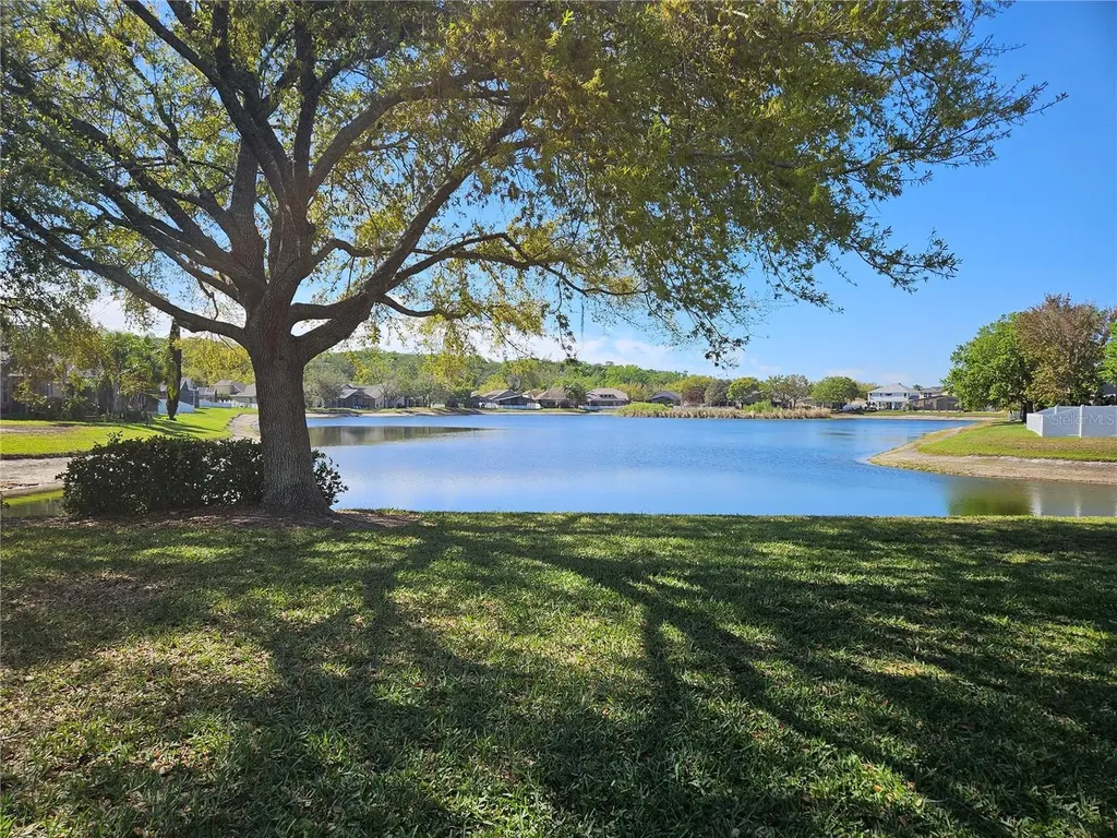 10820 Rain Lilly Pass Land O Lakes FL 34638