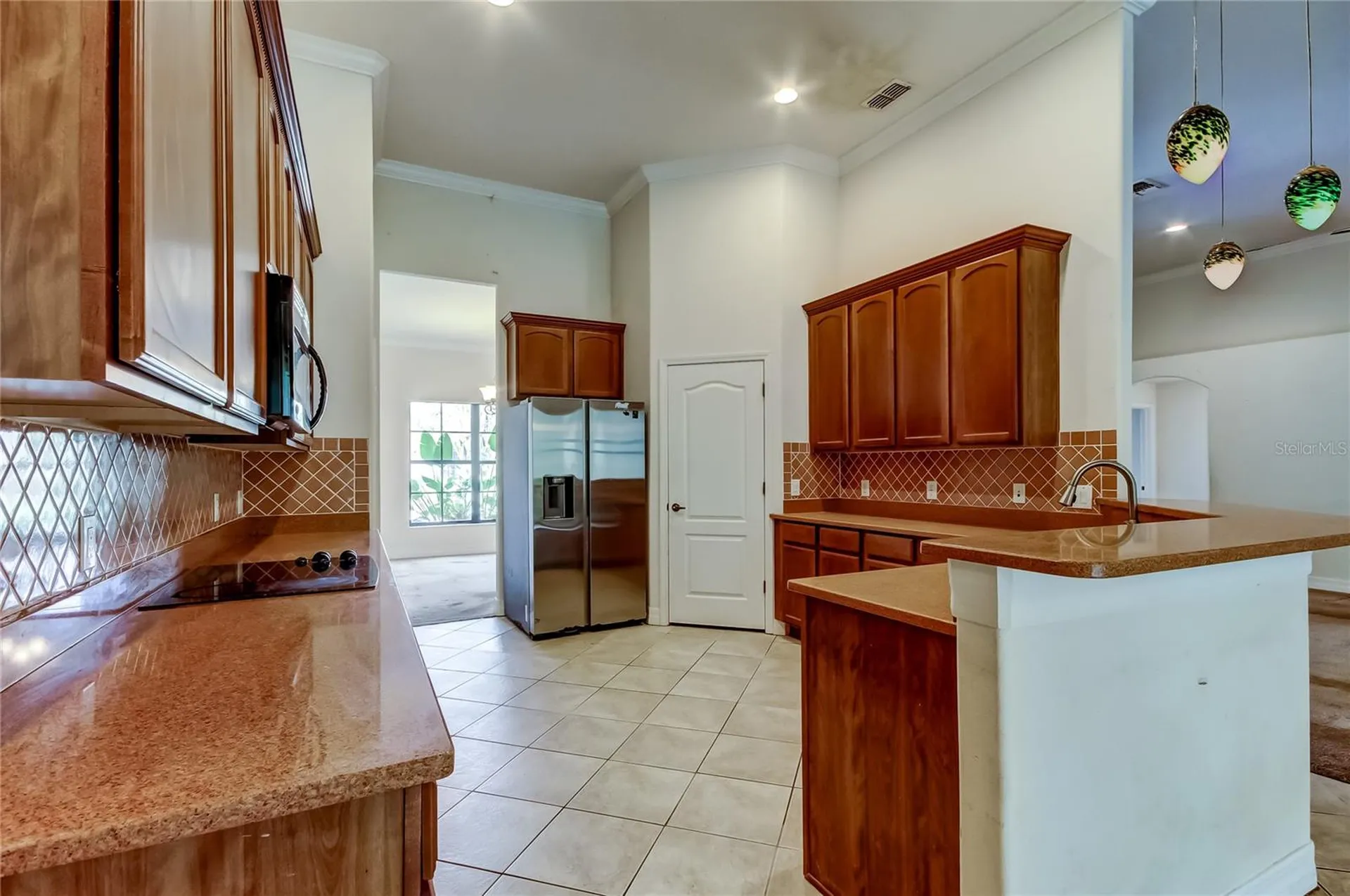 10820 Rain Lilly Pass Land O Lakes FL 34638
