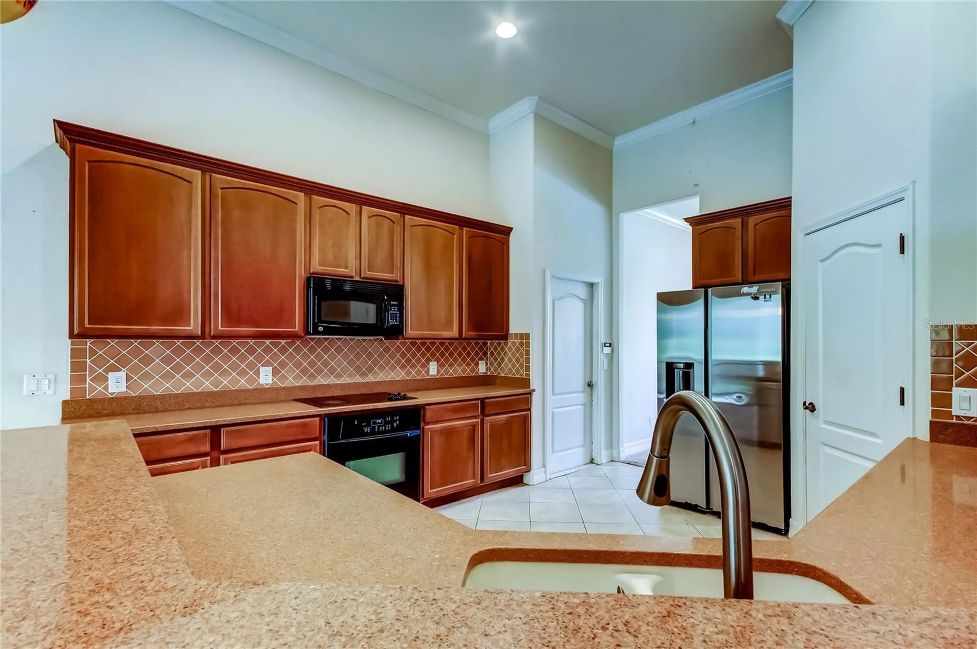 10820 Rain Lilly Pass Land O Lakes FL 34638