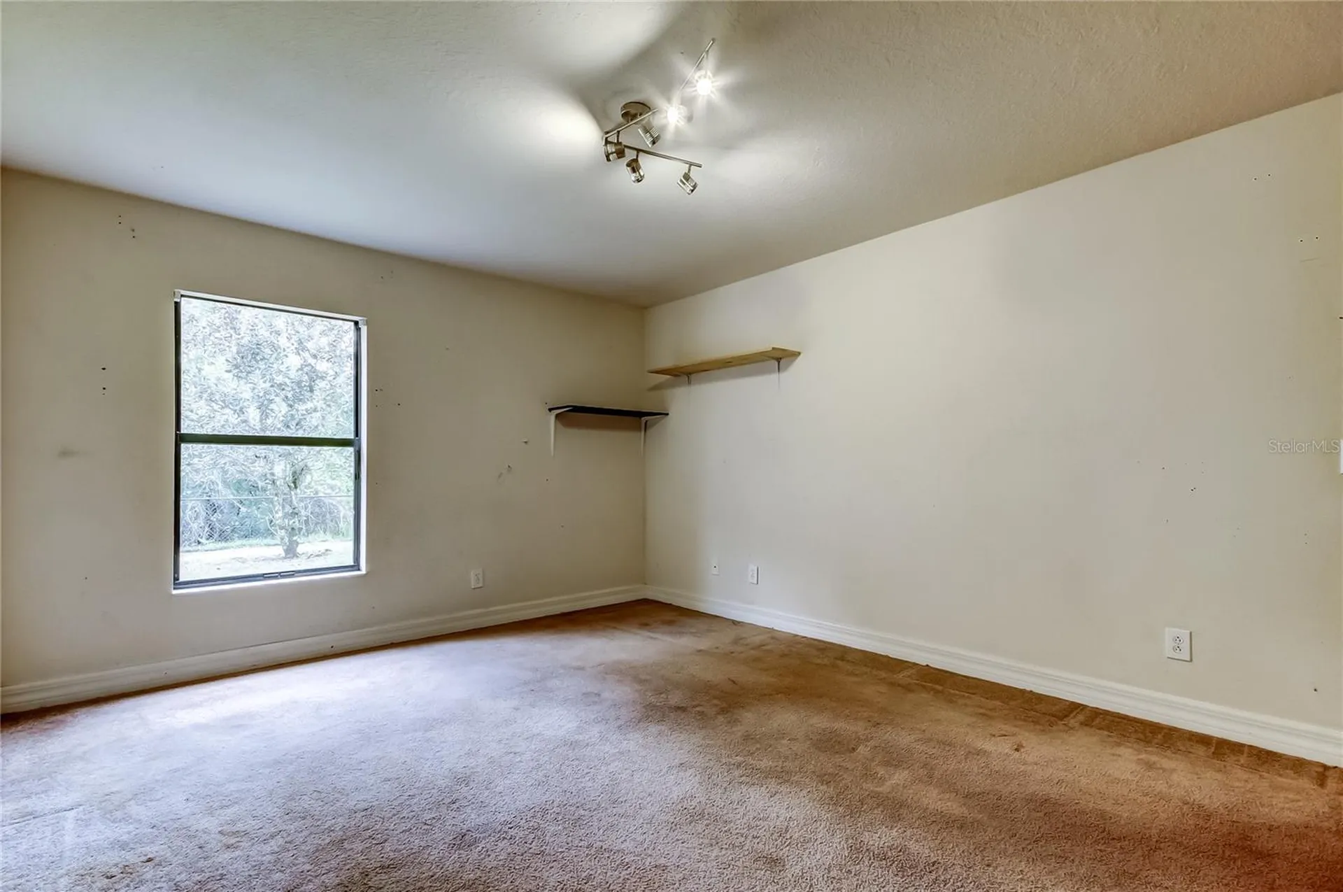 10820 Rain Lilly Pass Land O Lakes FL 34638