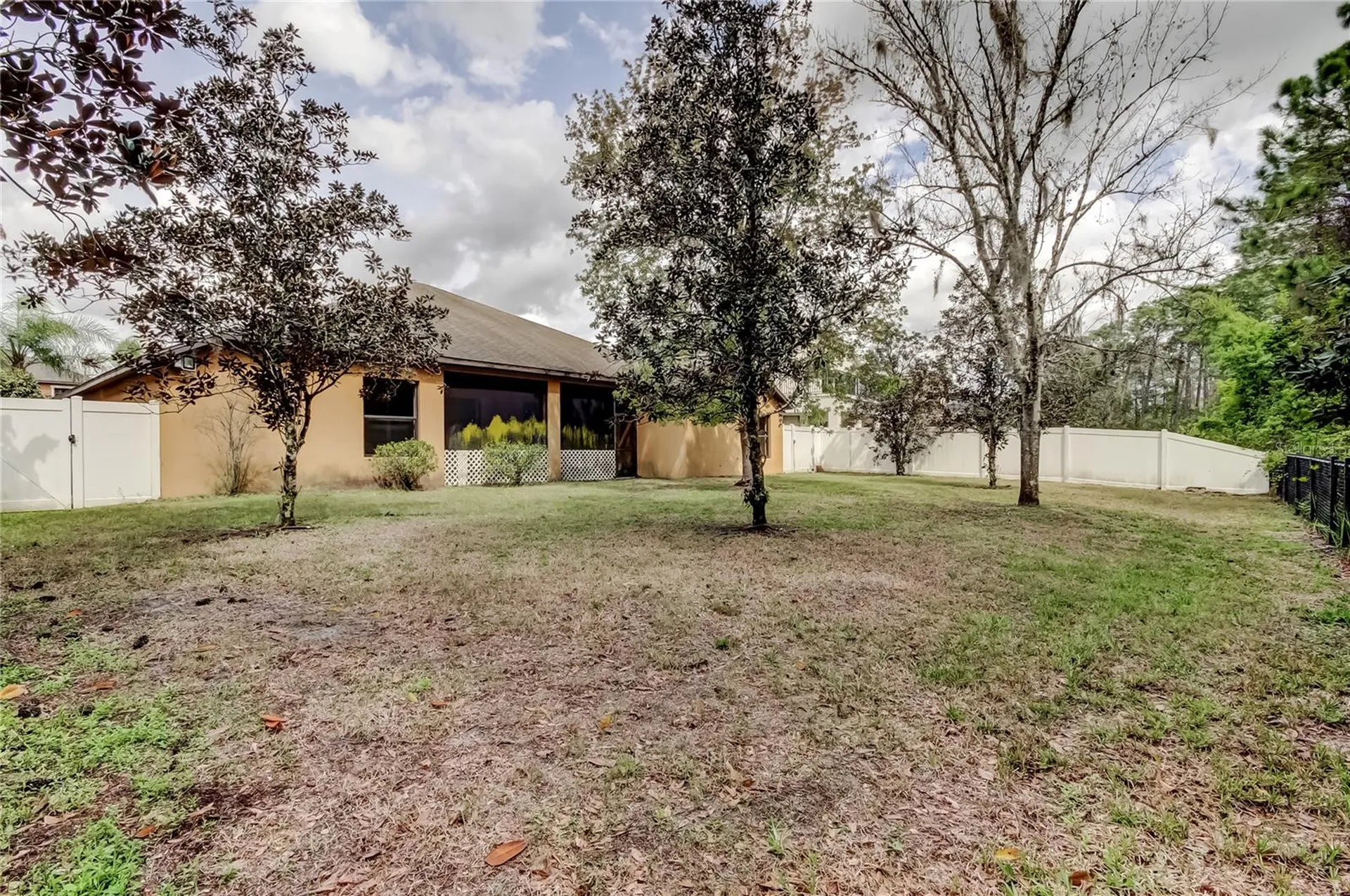 10820 Rain Lilly Pass Land O Lakes FL 34638