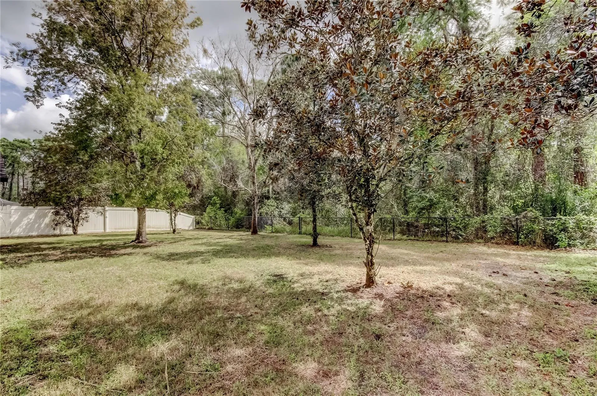 10820 Rain Lilly Pass Land O Lakes FL 34638