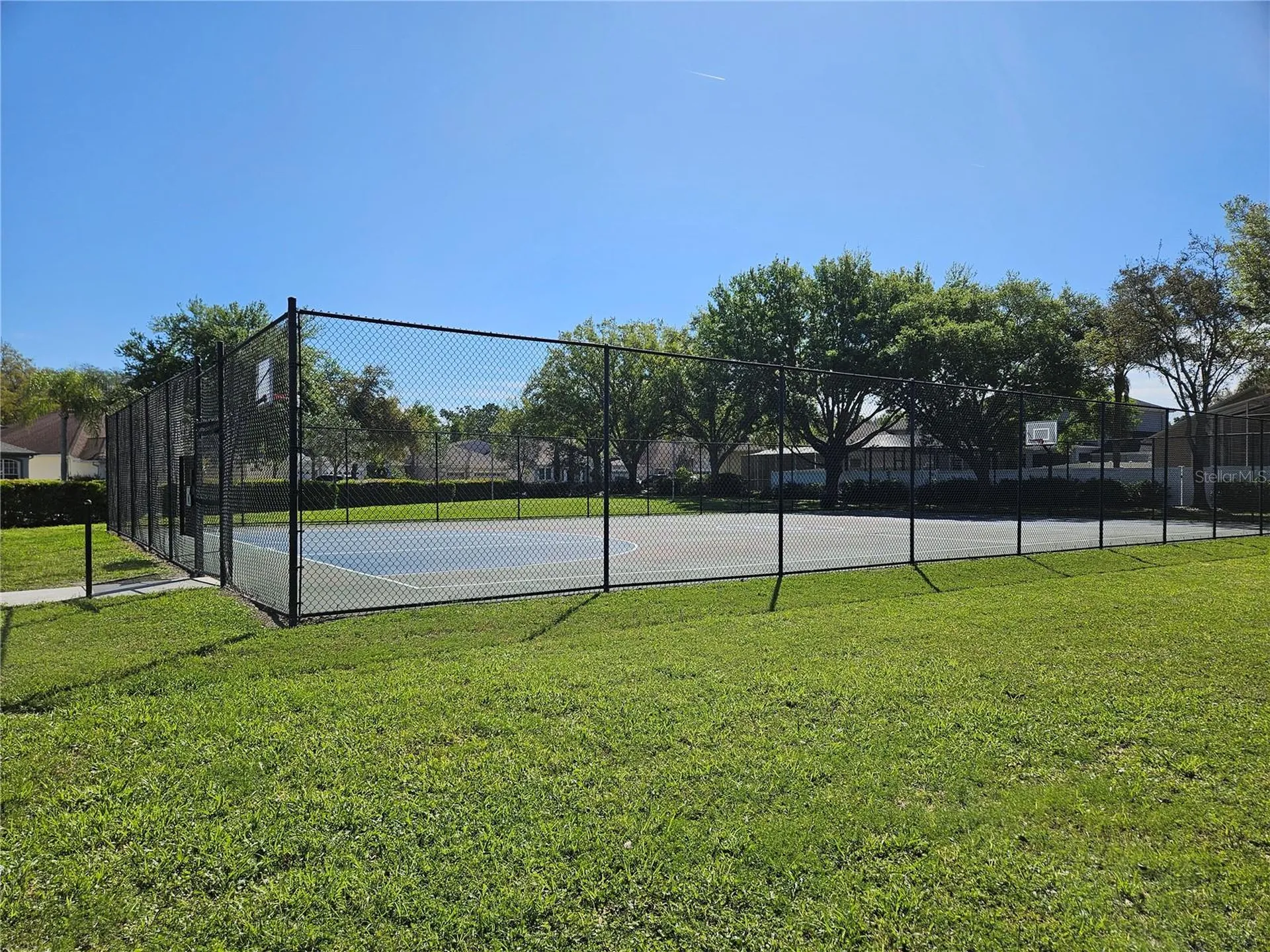 10820 Rain Lilly Pass Land O Lakes FL 34638