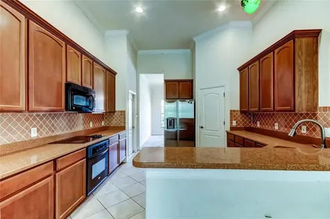 10820 Rain Lilly Pass Land O Lakes FL 34638