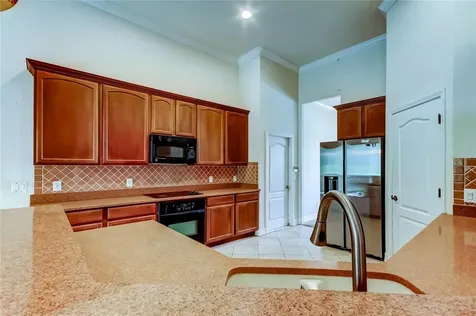 10820 Rain Lilly Pass Land O Lakes FL 34638