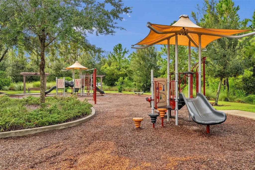 29211 Perilli Place Wesley Chapel FL 33543
