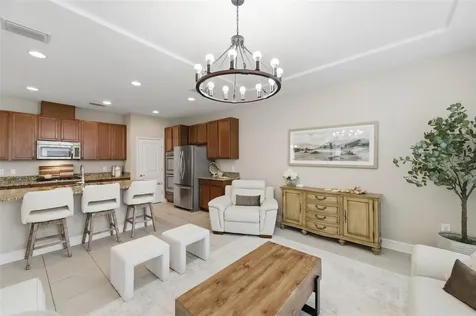 29211 Perilli Place Wesley Chapel FL 33543