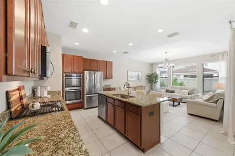 29211 Perilli Place Wesley Chapel FL 33543