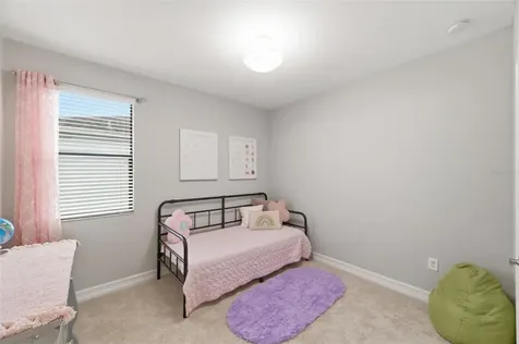 29211 Perilli Place Wesley Chapel FL 33543