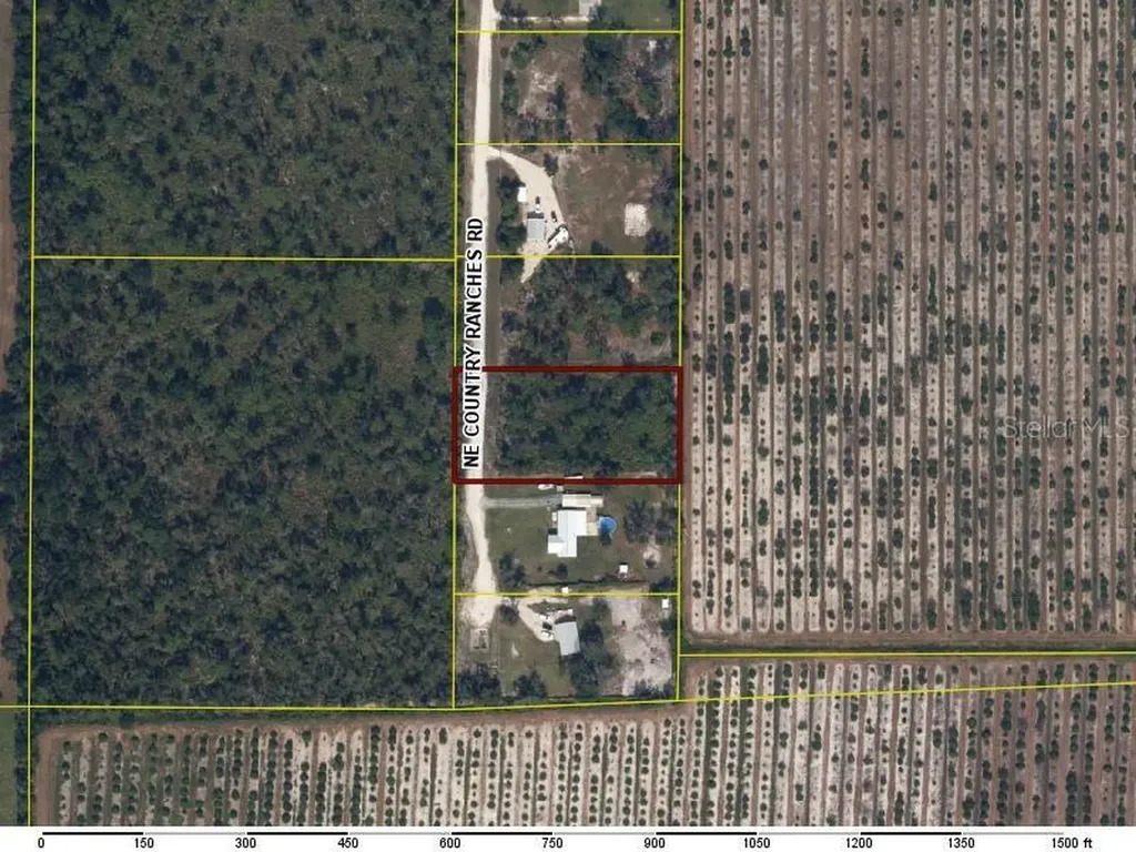 5086 NE Country Ranches Road Arcadia FL 34266