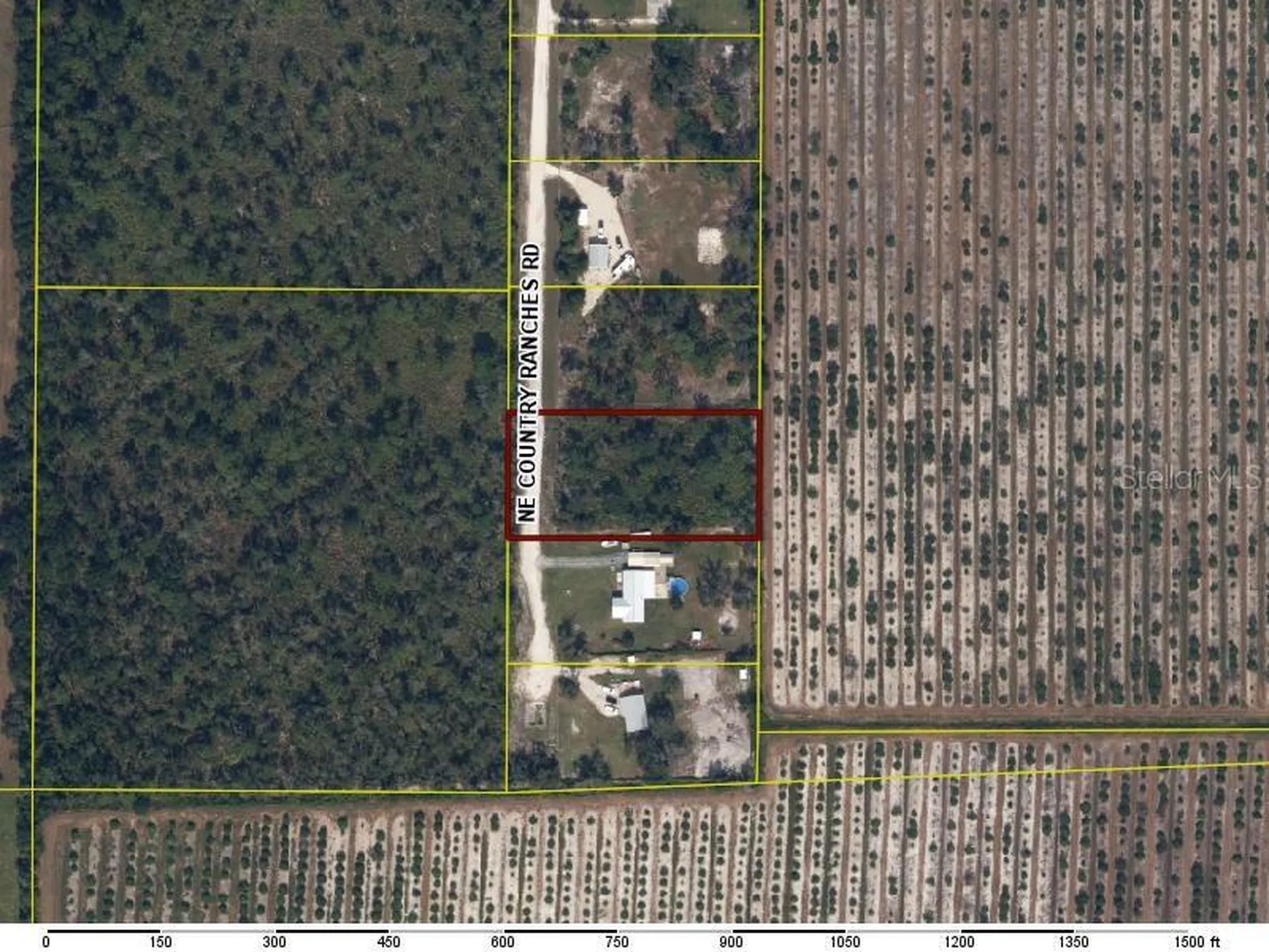 5086 NE Country Ranches Road Arcadia FL 34266