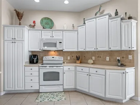1175 Kinsley Street The Villages FL 32162