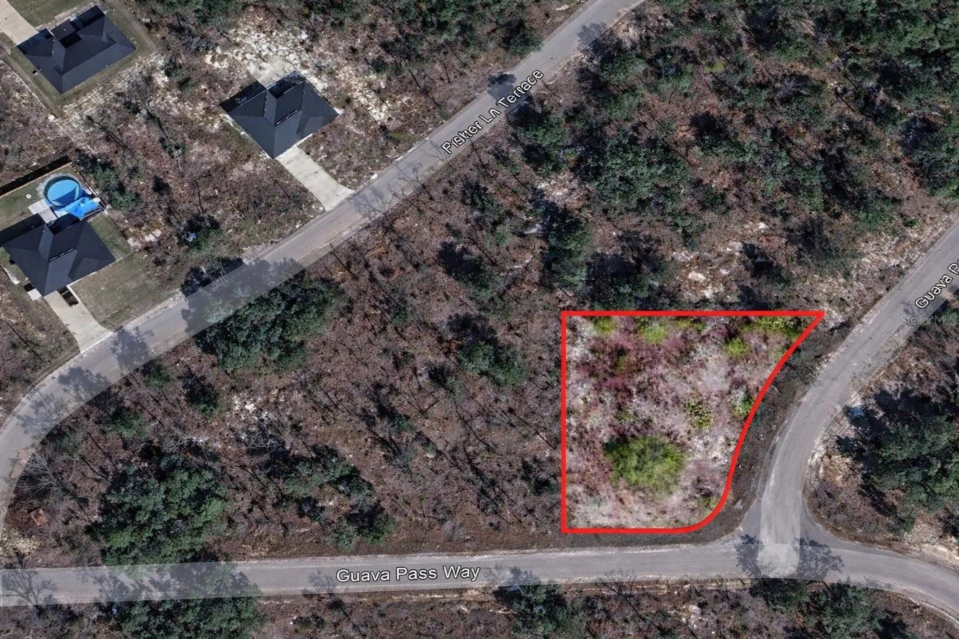 Guava Pass Place Ocklawaha FL 32179