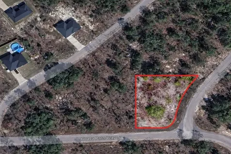Guava Pass Place Ocklawaha FL 32179
