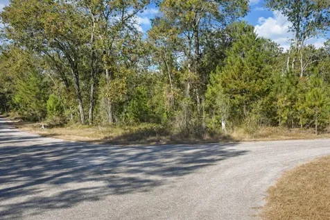 Guava Pass Place Ocklawaha FL 32179