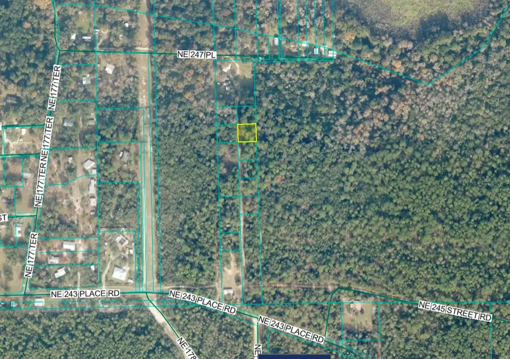 Tbd No Situs Fort Mc Coy FL 32134