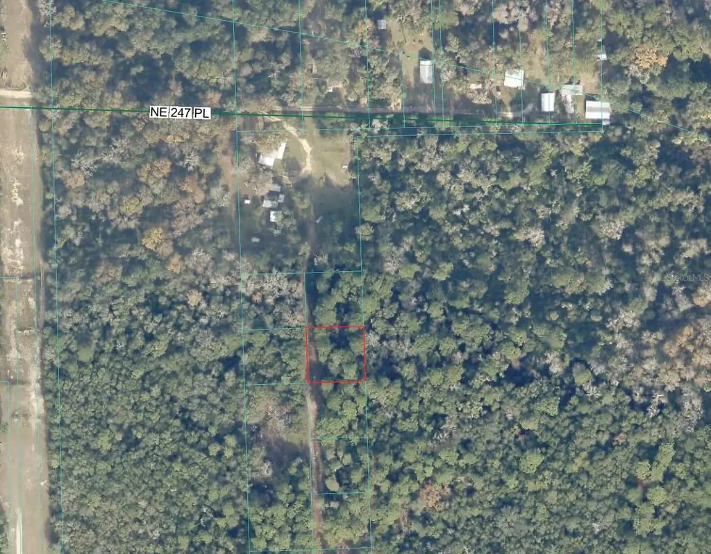 Tbd No Situs Fort Mc Coy FL 32134