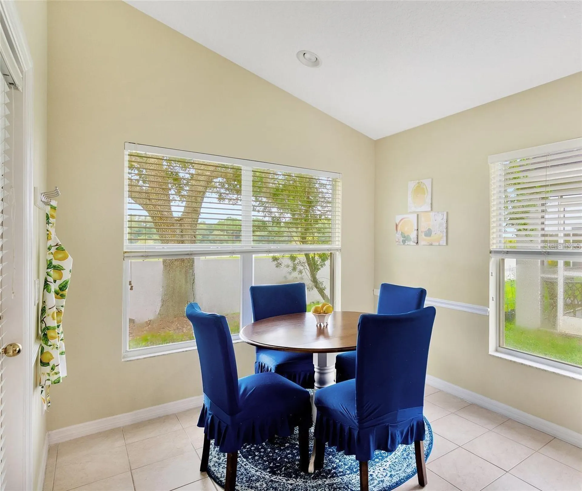 18821 Maisons Drive Lutz FL 33558