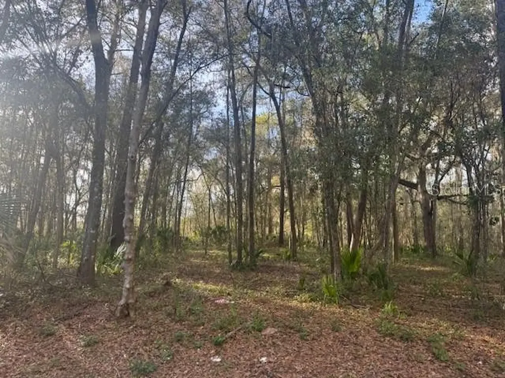 SE 43rd Street Ocala FL 34480
