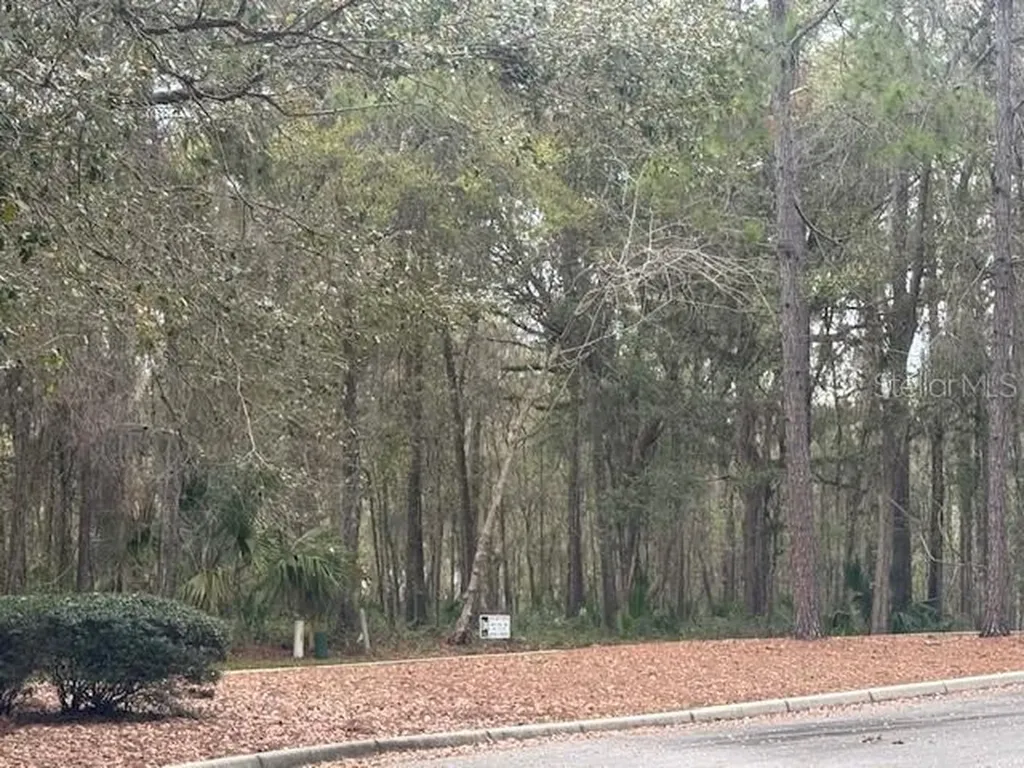 SE 43rd Street Ocala FL 34480