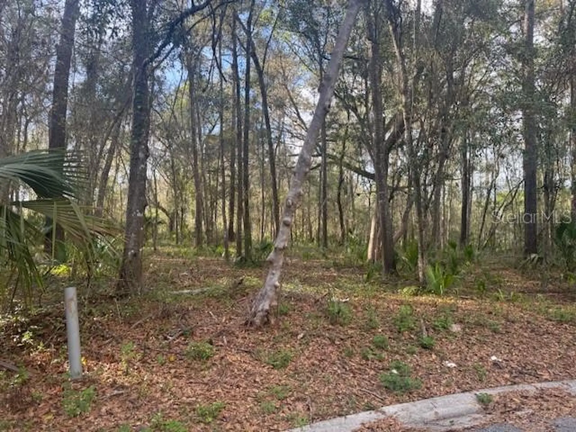 SE 43rd Street Ocala FL 34480