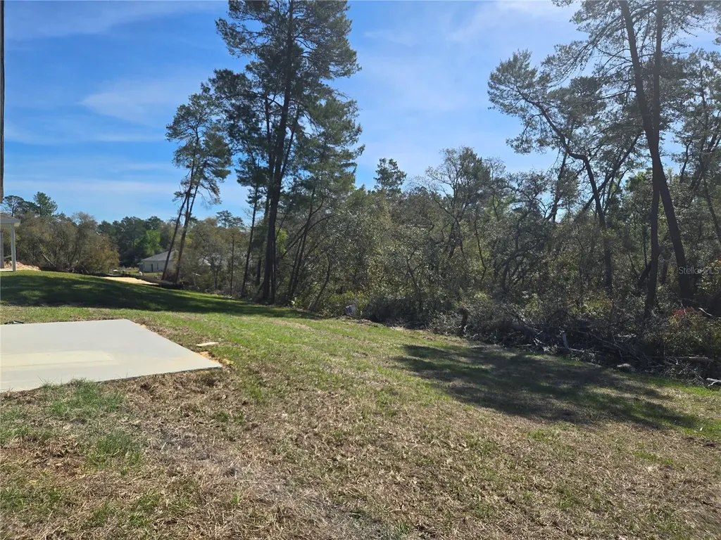 2644 SW 162nd Street Road Ocala FL 34473