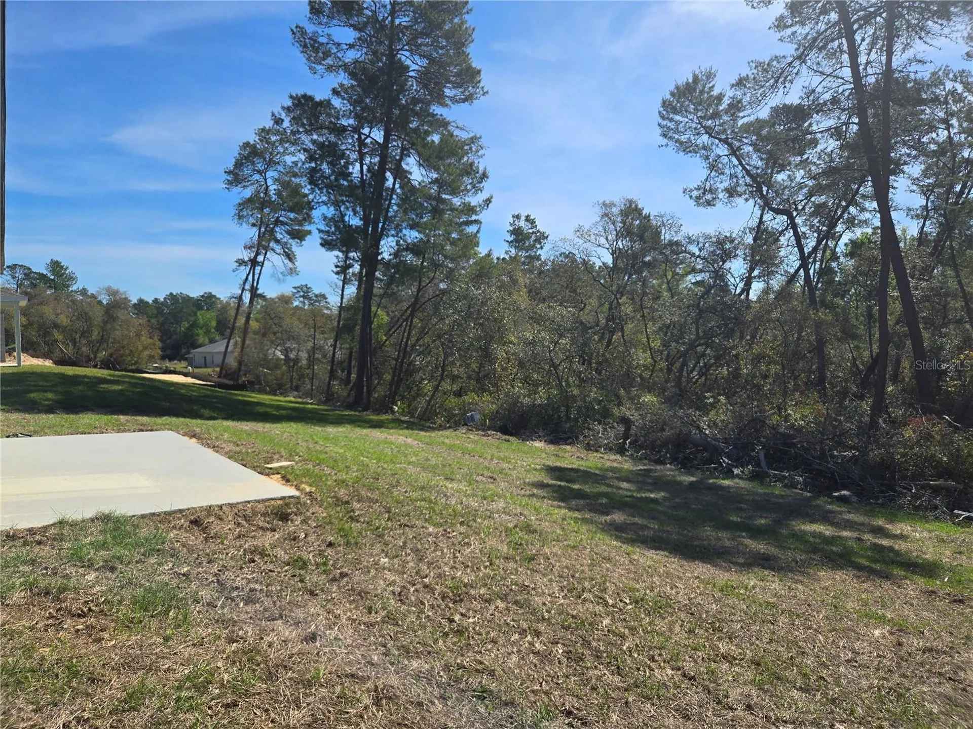 2644 SW 162nd Street Road Ocala FL 34473