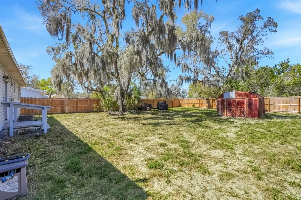 1009 E Hazzard Avenue Eustis FL 32726