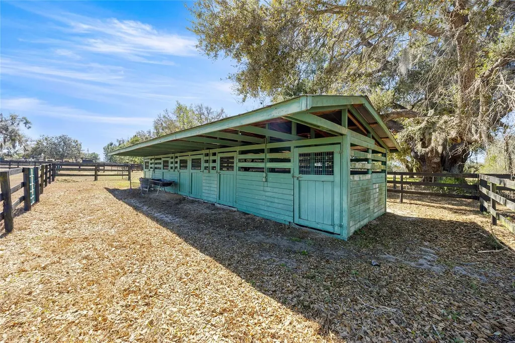 12006 N Magnolia Avenue Ocala FL 34475