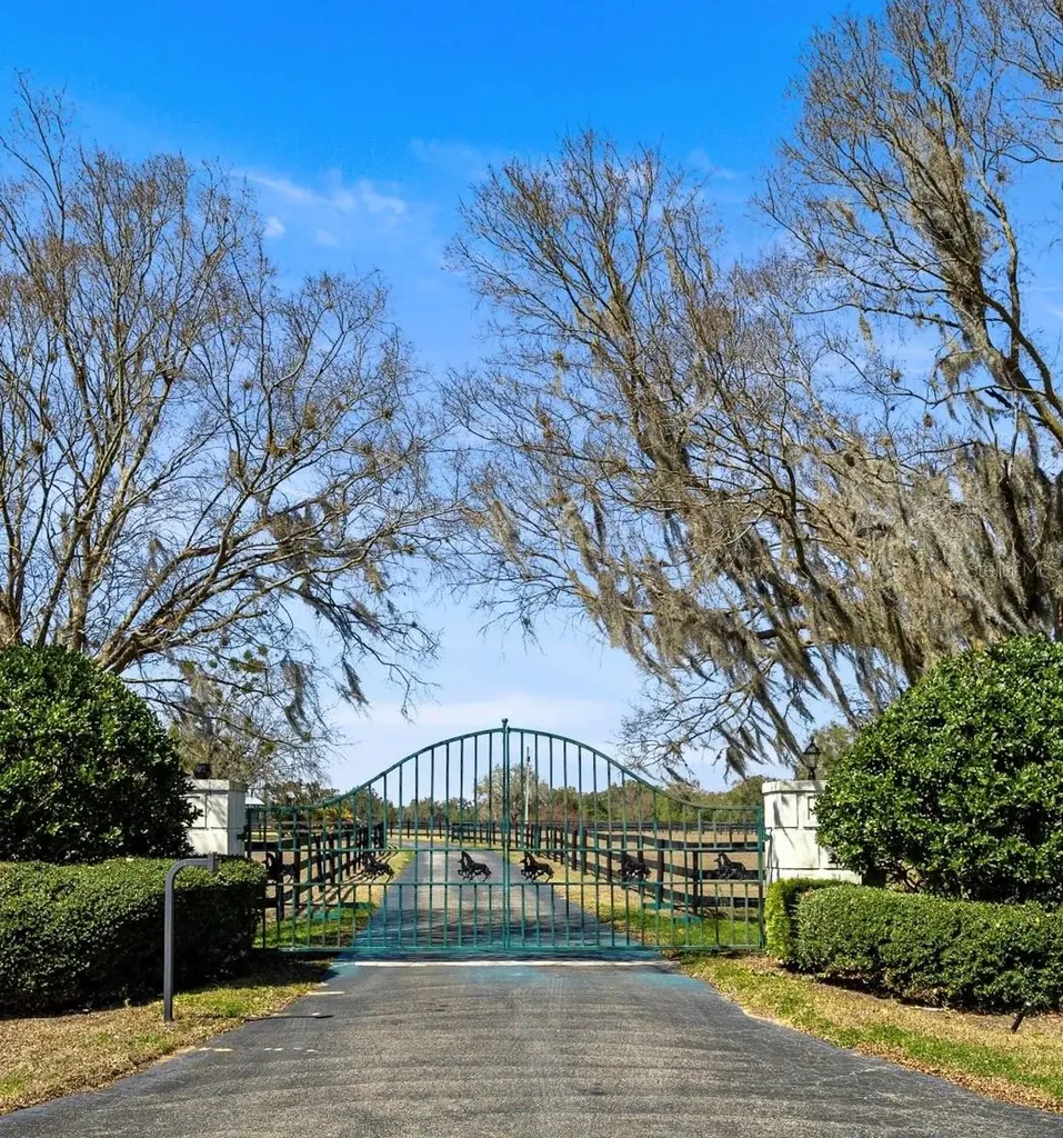 12006 N Magnolia Avenue Ocala FL 34475