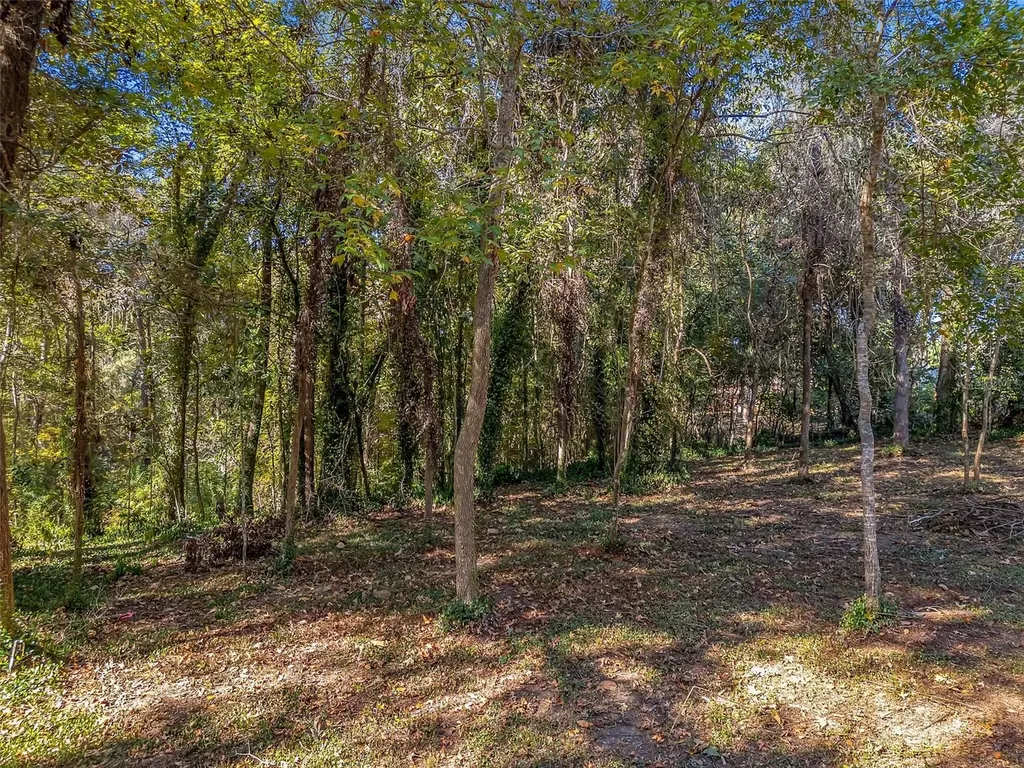 0 Glennis Court Tallahassee FL 32303