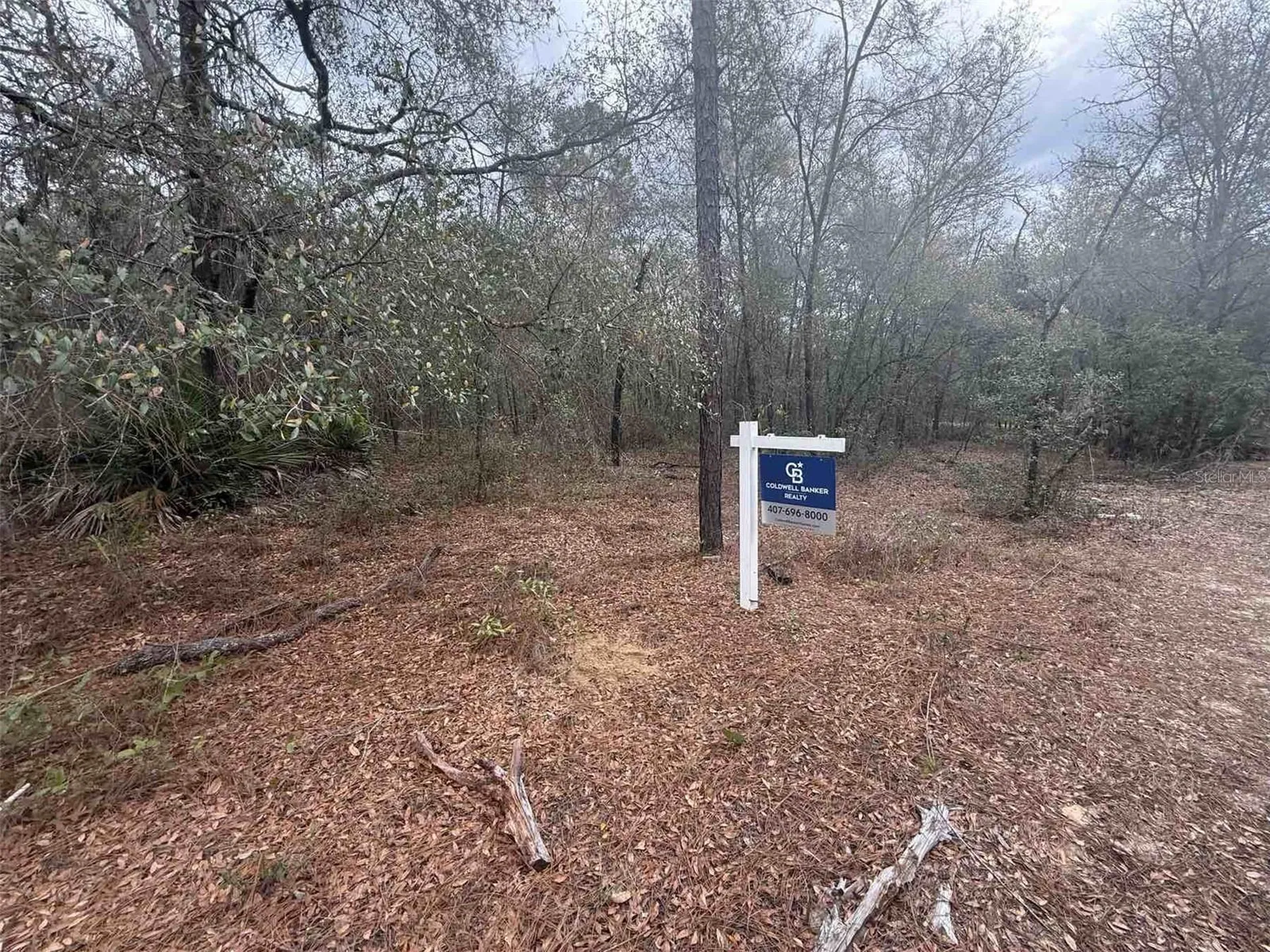 0 SE 3rd Street Interlachen FL 32148