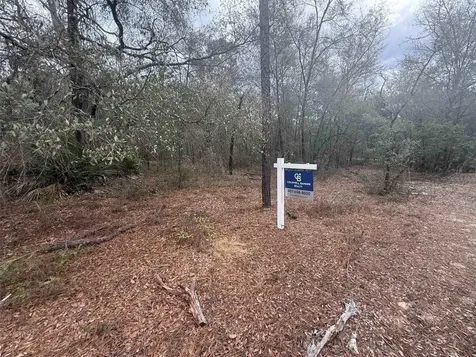 0 SE 3rd Street Interlachen FL 32148