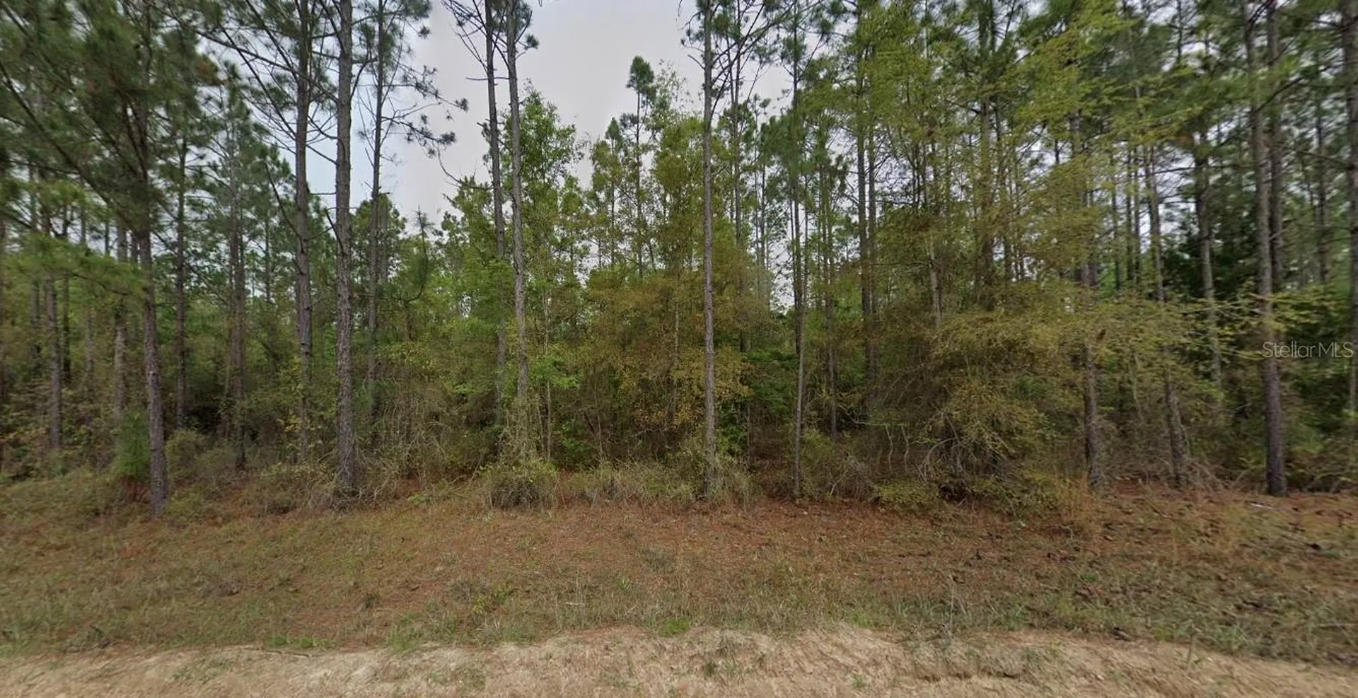 5693 Blocker Road Marianna FL 32446