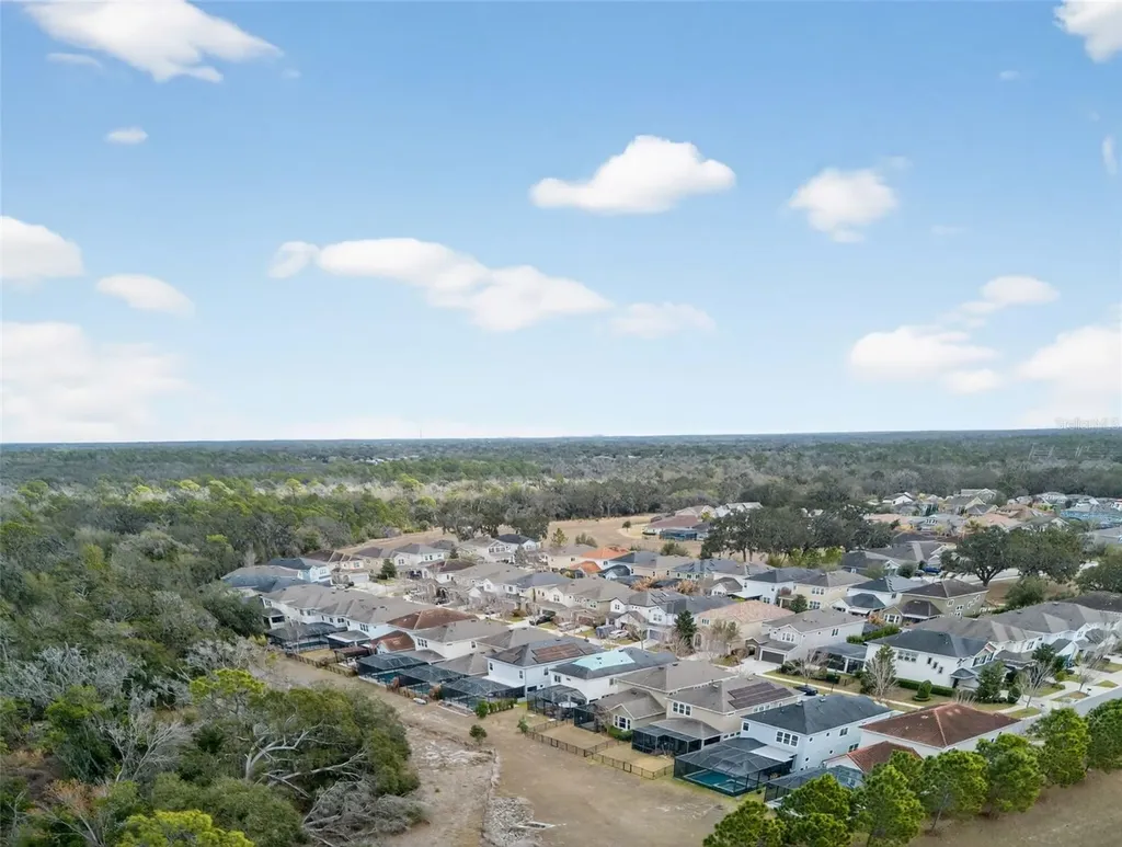 14257 Natures Reserve Drive Lithia FL 33547