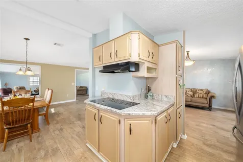 1717 Lilly Lane The Villages FL 32159