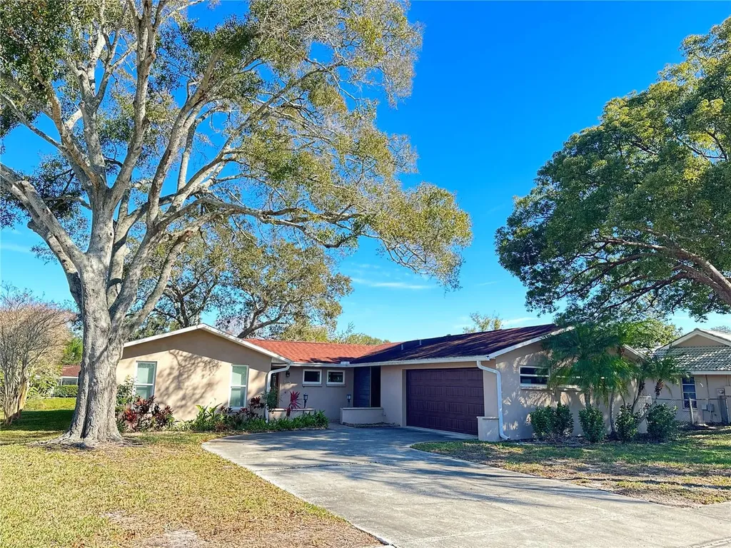 2049 Sandpiper Drive Palm Harbor FL 34683