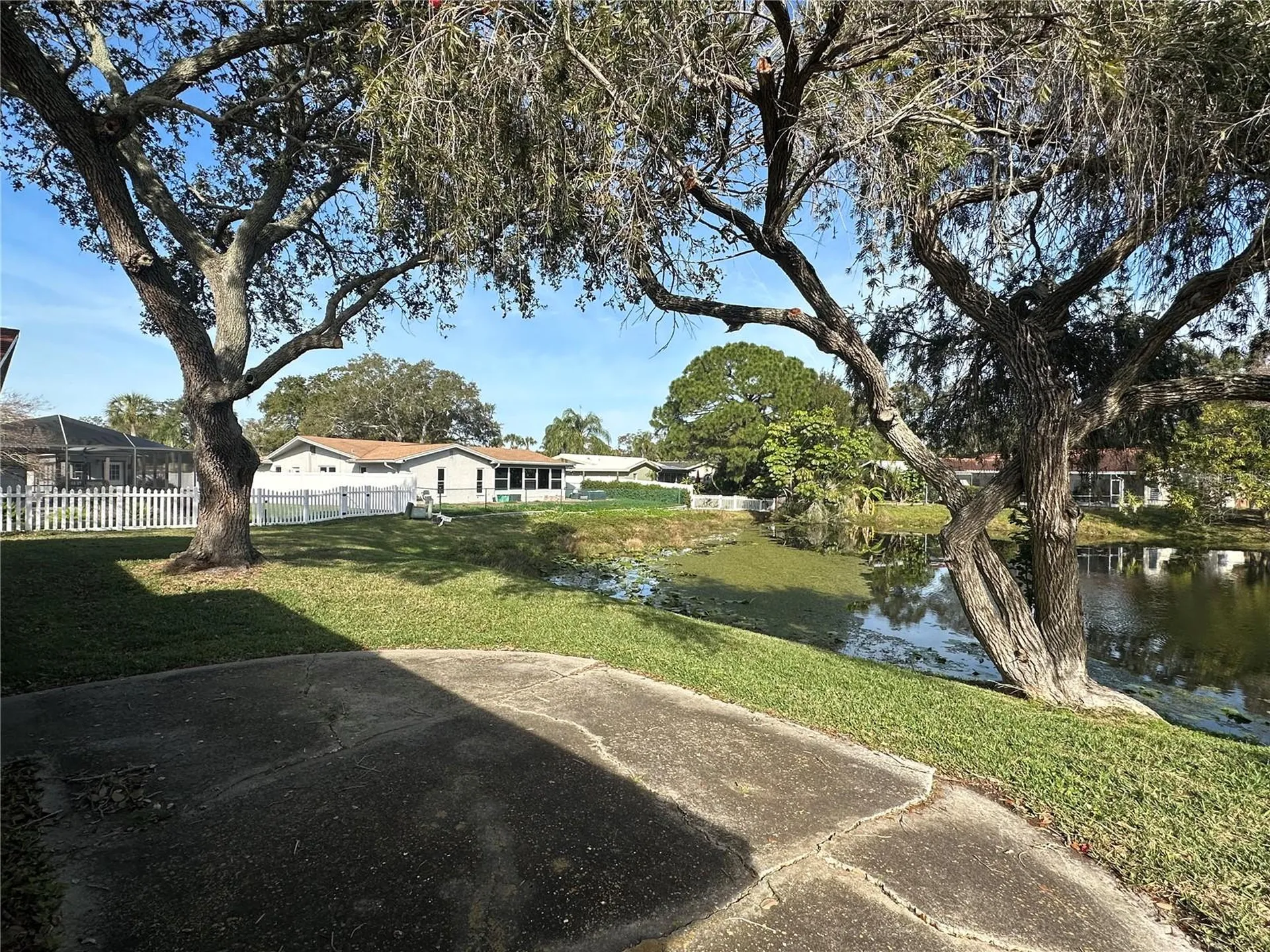 2049 Sandpiper Drive Palm Harbor FL 34683