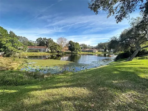 2049 Sandpiper Drive Palm Harbor FL 34683