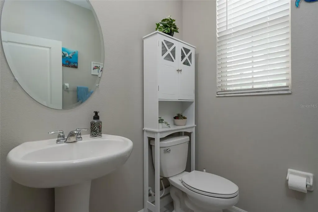 11704 Castine Street New Port Richey FL 34654
